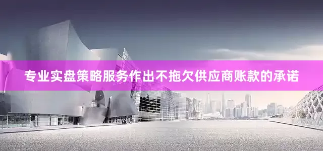 专业实盘策略服务作出不拖欠供应商账款的承诺