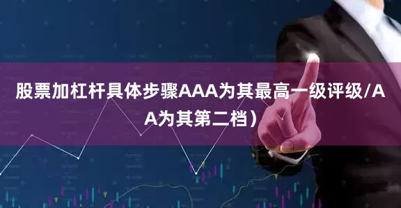 股票加杠杆具体步骤AAA为其最高一级评级/AA为其第二档）