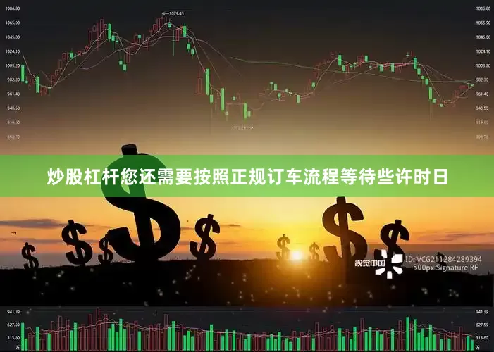 炒股杠杆您还需要按照正规订车流程等待些许时日