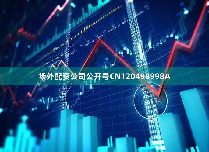 场外配资公司公开号CN120498998A