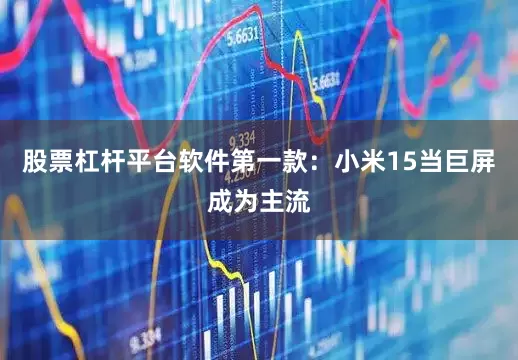 股票杠杆平台软件第一款：小米15当巨屏成为主流